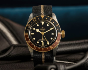 tudor brand's luxury watch pic