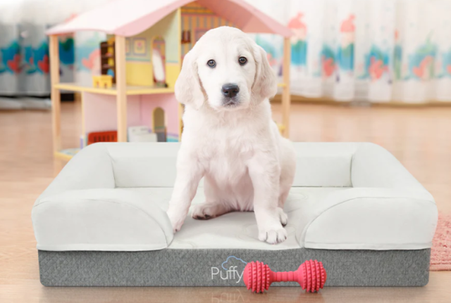 Dog-bed-for-dog-lover