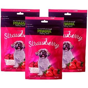 Snack Pack for Dog