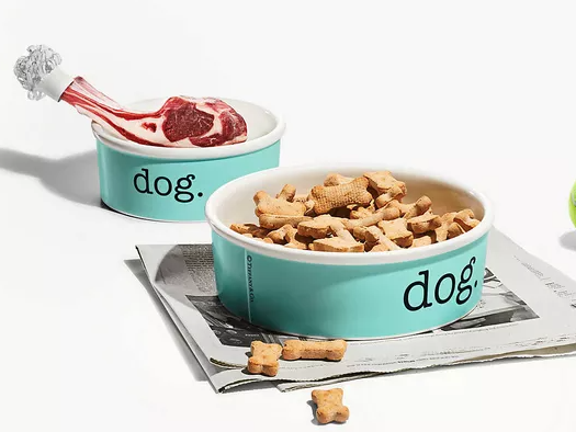 dog-bowl-for-a-dog-owner