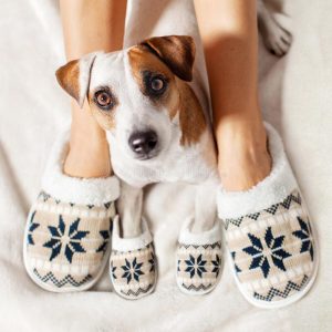 dog-slippers-for-dog-lovers