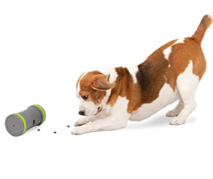 dog-toy-feeder