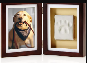 photo-frame-for-dog