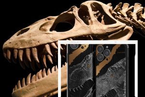 behaviour of Dinosaur with 500 Teeth