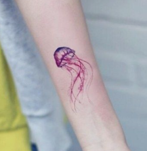 jelly fish on lower arm