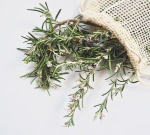 Rosemary plants for stress relaxation