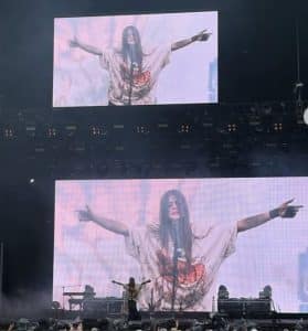 Fuji rock festival