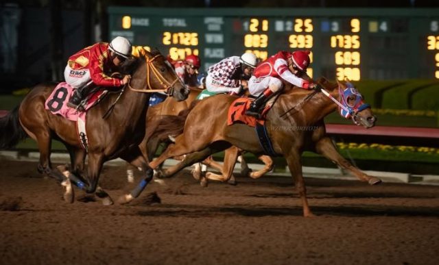 Horses in running pose at Turf Paradise